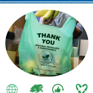 biodegradable eco-friendly thank you bags